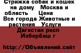 Стрижка собак и кошек на дому.  Москва и область.  › Цена ­ 1 200 - Все города Животные и растения » Услуги   . Дагестан респ.,Избербаш г.